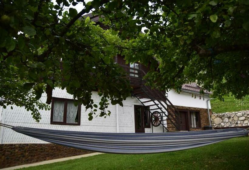 Пансион Cabana Colnic