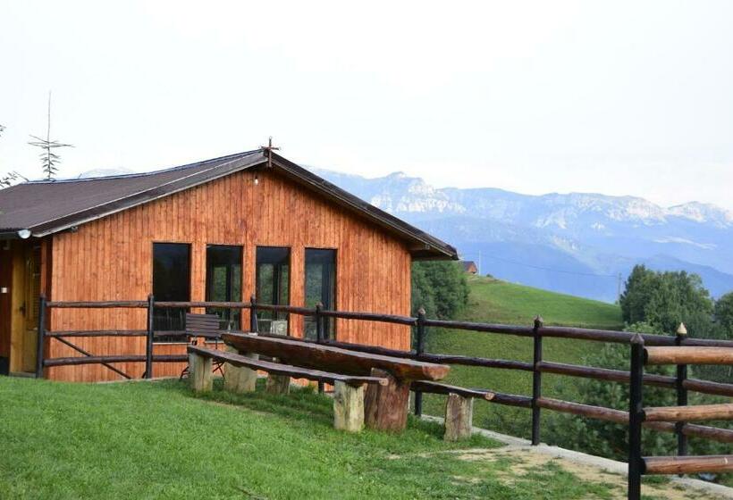 Пансион Cabana Colnic