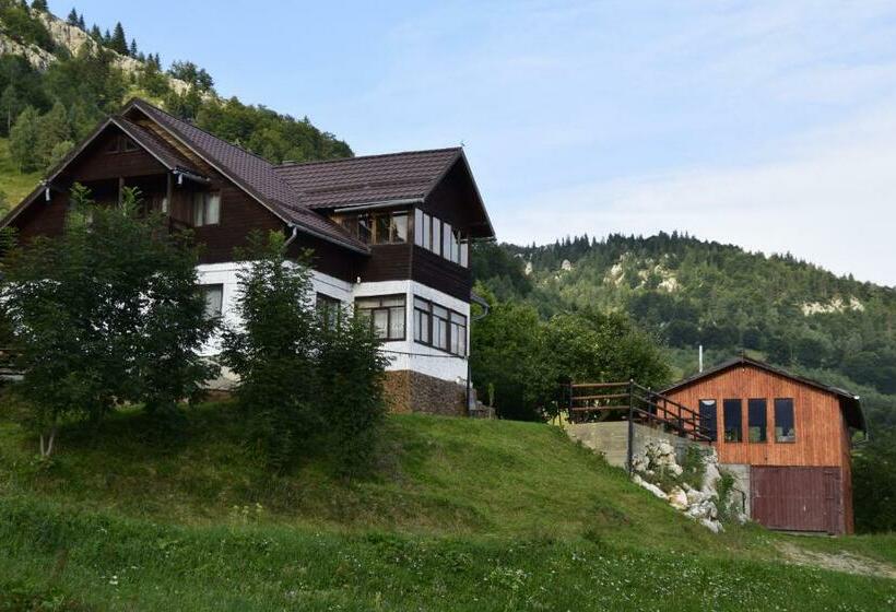 Пансион Cabana Colnic