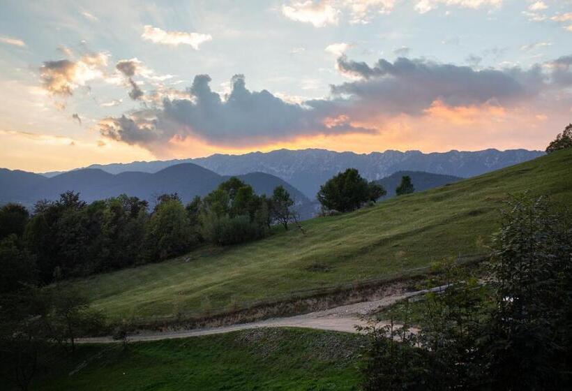 Пансион Cabana Colnic