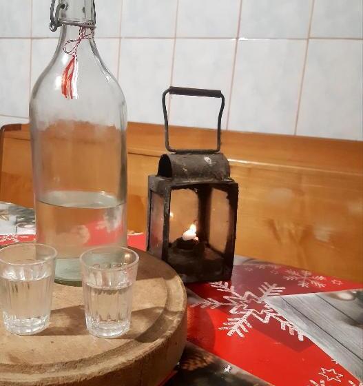 Пансион Cabana Colnic