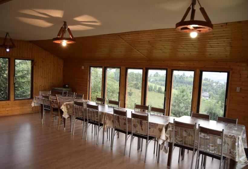 Пансион Cabana Colnic