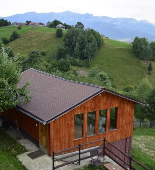 Пансион Cabana Colnic