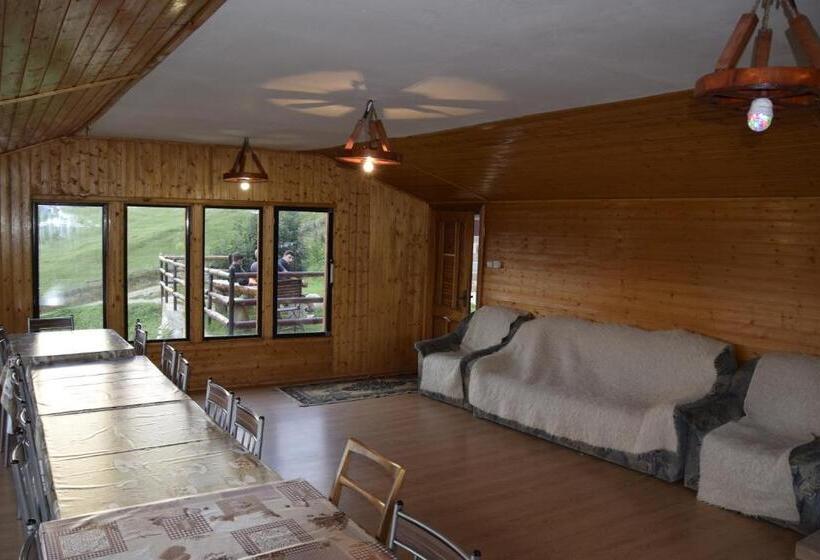 Пансион Cabana Colnic