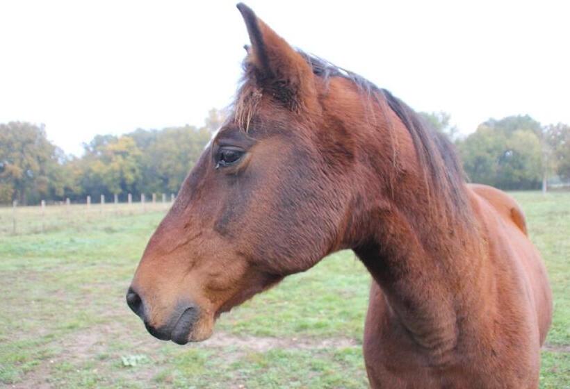 펜션 Domaine De Badine, Bordeaux Centre 15mn