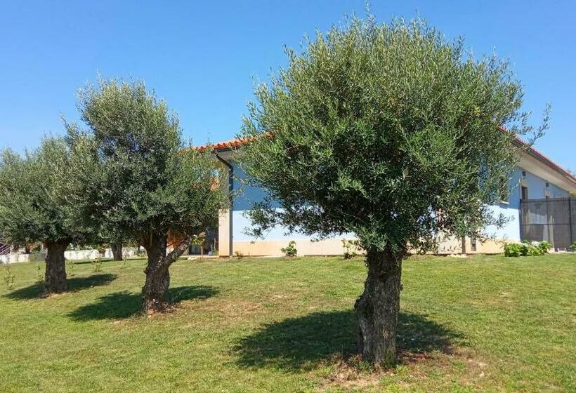 ペンション Jardim Das Oliveiras   Suítes Com Vista