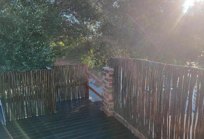 Pension Nikita S Self Catering Haven 2