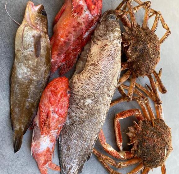 膳宿费 Villa Alba Rosula