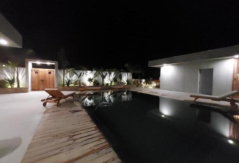 膳宿费 Villa Alba Rosula