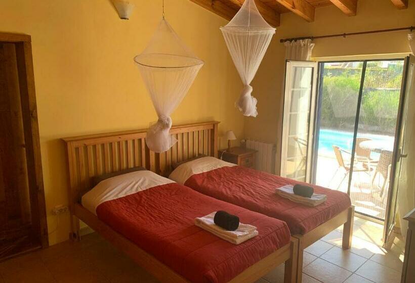 פנסיון Windy S Guest House