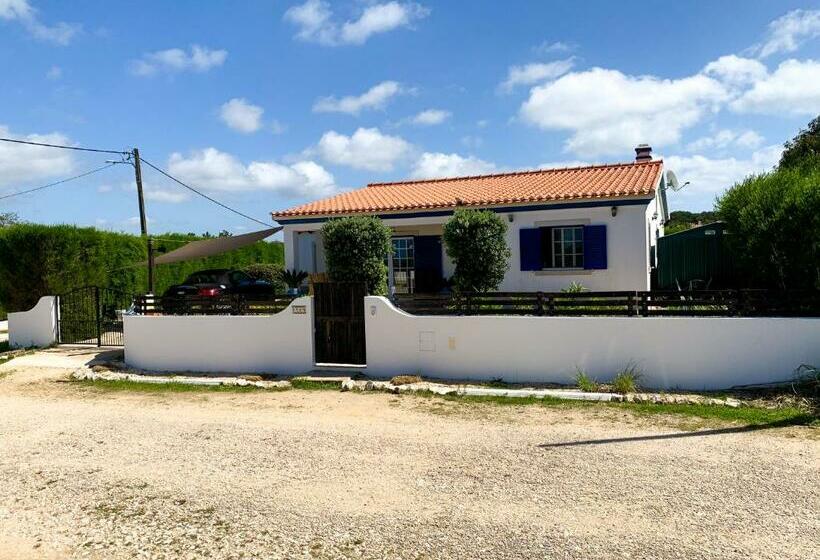 פנסיון Windy S Guest House