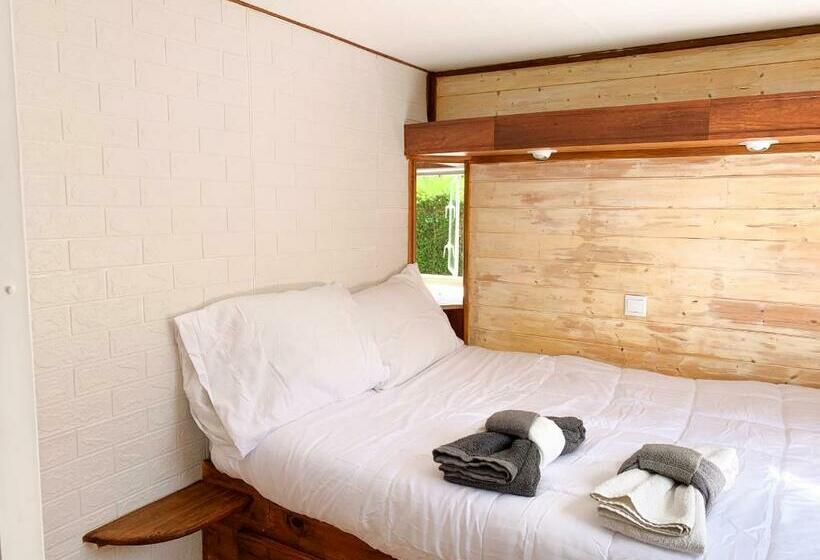 פנסיון Windy S Guest House