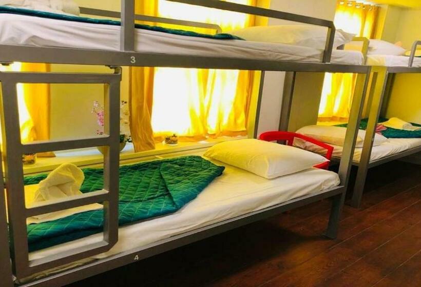 Room Mate Hostel Amsterdam Zaandam