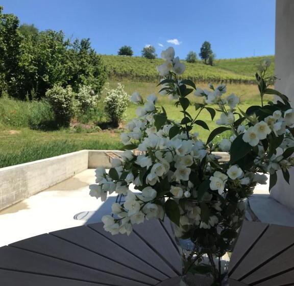 Sotto La Vigna Charm Stay Adults Only Vacation Bed And Breakfast Room