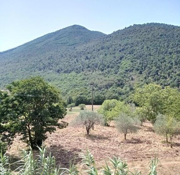 Bed and Breakfast La Carrozza Sul Titerno