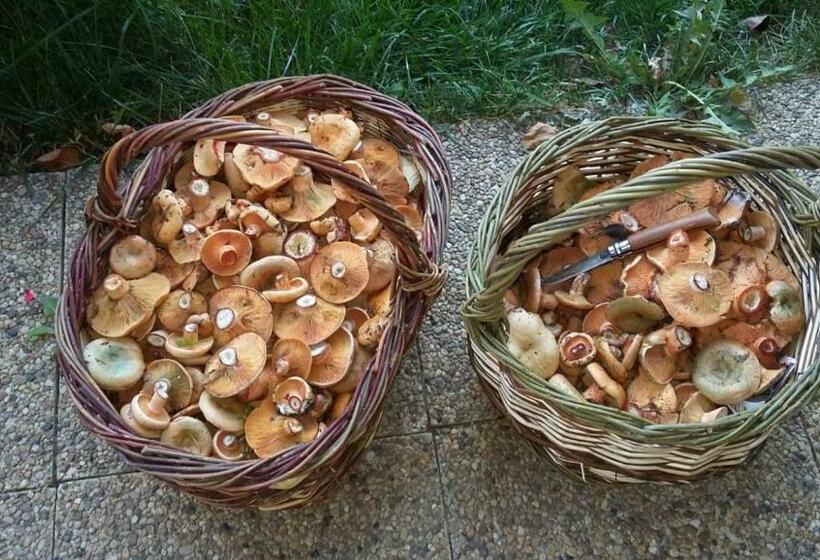 צימר La Reynière