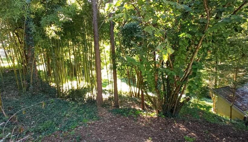 Bed and Breakfast Logis Vélès