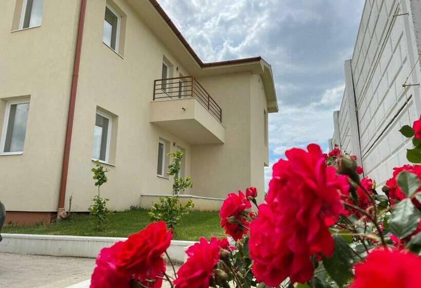 Elvetianul Tobias Apart