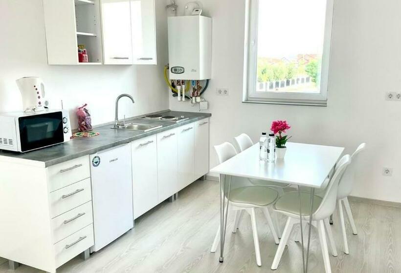 Elvetianul Tobias Apart