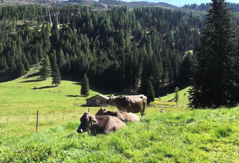 בית מלון כפרי Buckelhof