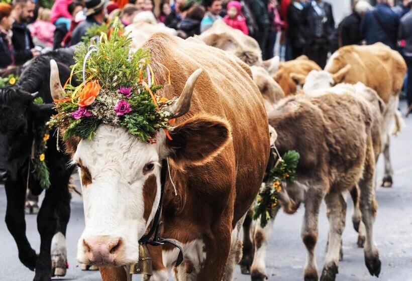 בית מלון כפרי Buckelhof