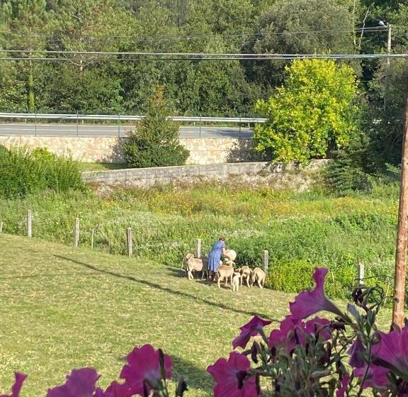 펜션 A Casa Das Augas