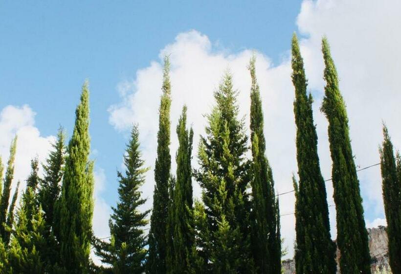 פנסיון Al Tempio Della Pace