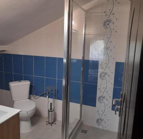 بنسيون Casa Florea