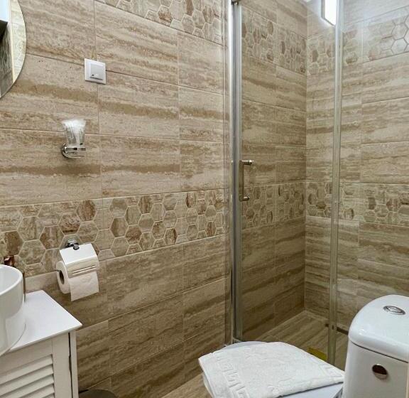 膳宿费 Homeland Center Cluj