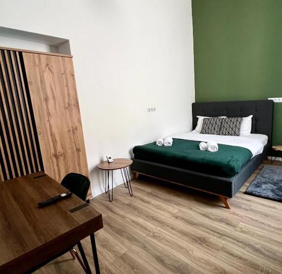 膳宿费 Homeland Center Cluj