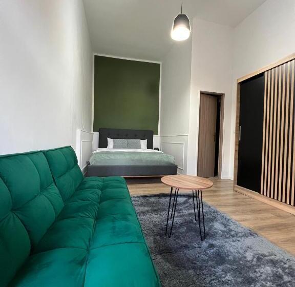 膳宿费 Homeland Center Cluj