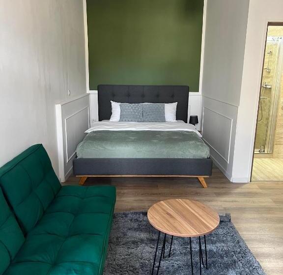 膳宿费 Homeland Center Cluj