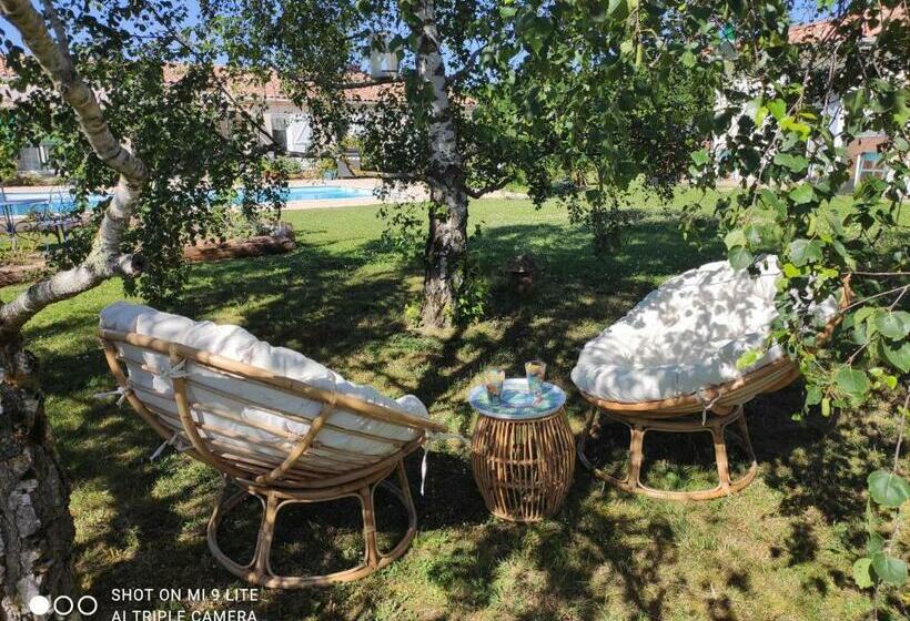 بنسيون Les Pitchounettes