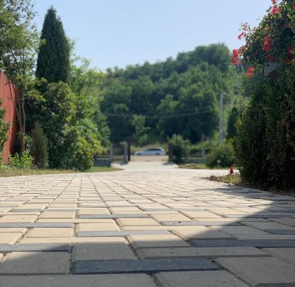Pensiunea Romana