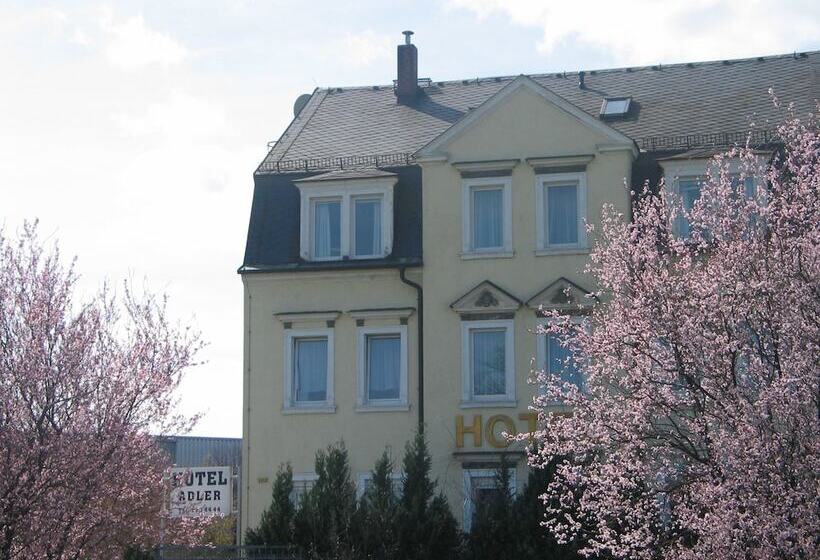 酒店 Adler