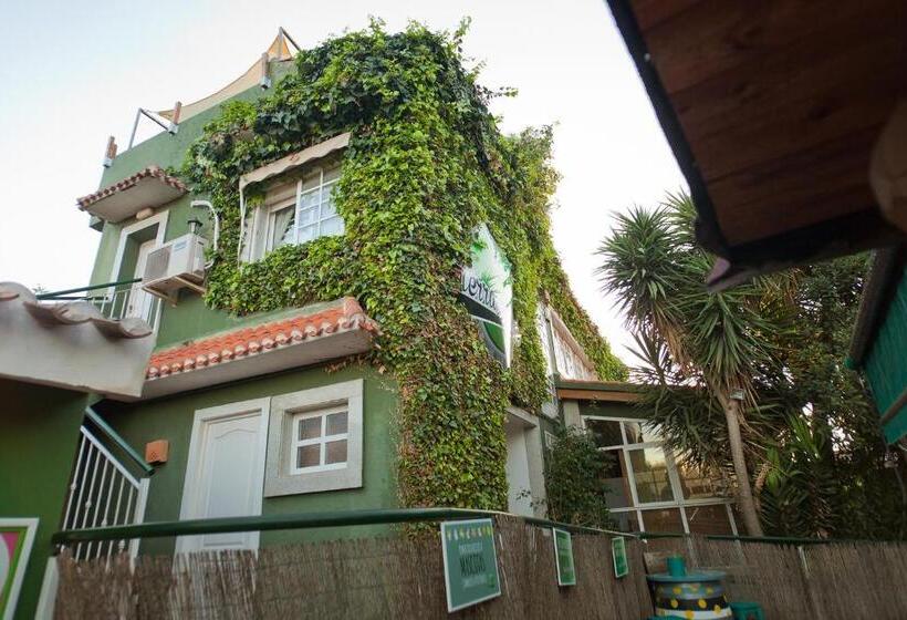 فندق صغير La Casa Verde