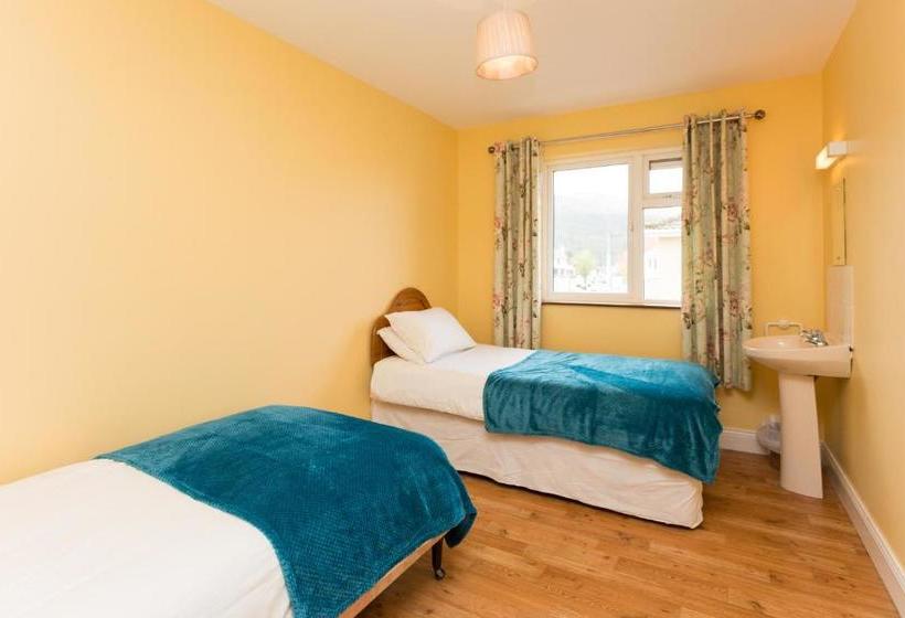 The Sleepy Camel Hostel