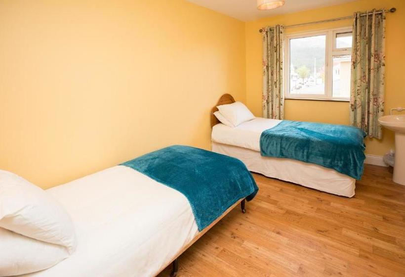 The Sleepy Camel Hostel