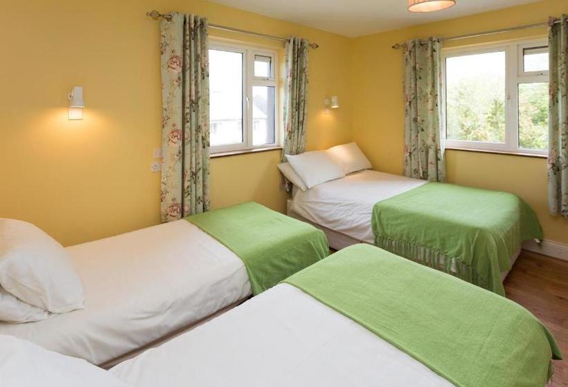 The Sleepy Camel Hostel