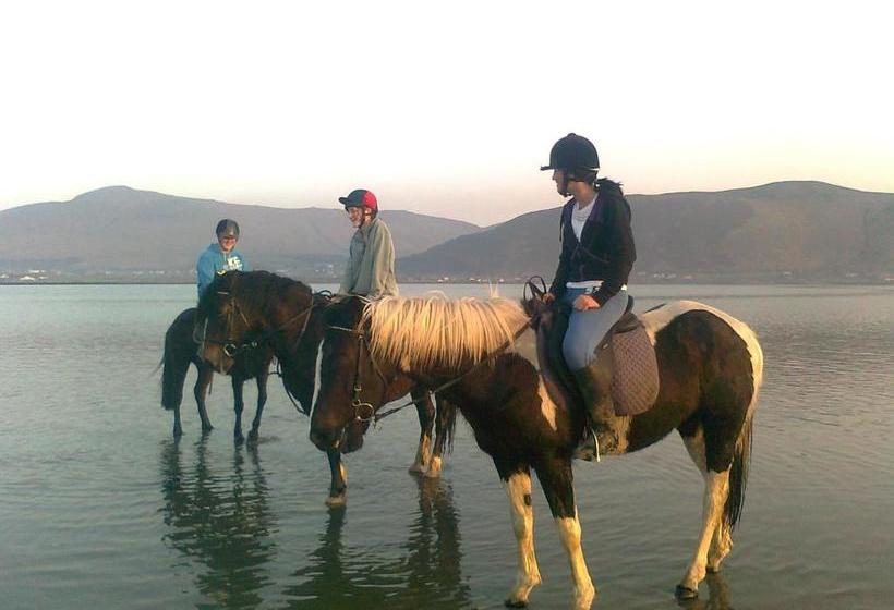 The Sleepy Camel Hostel