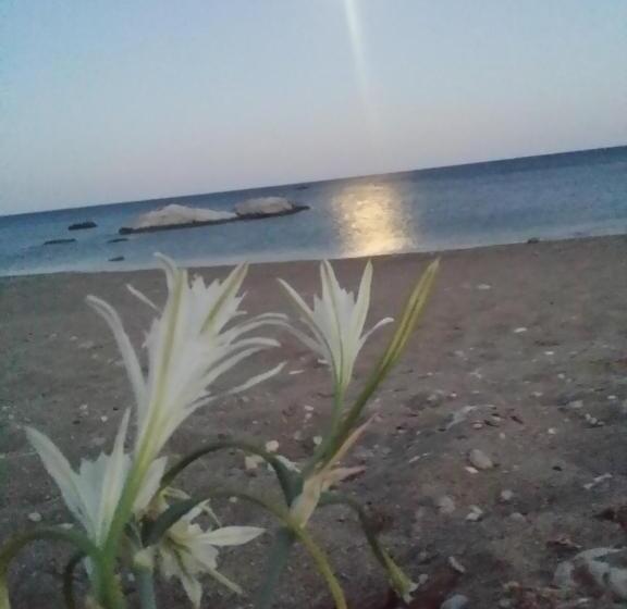 Anastasia Studios, Apartments & Suites