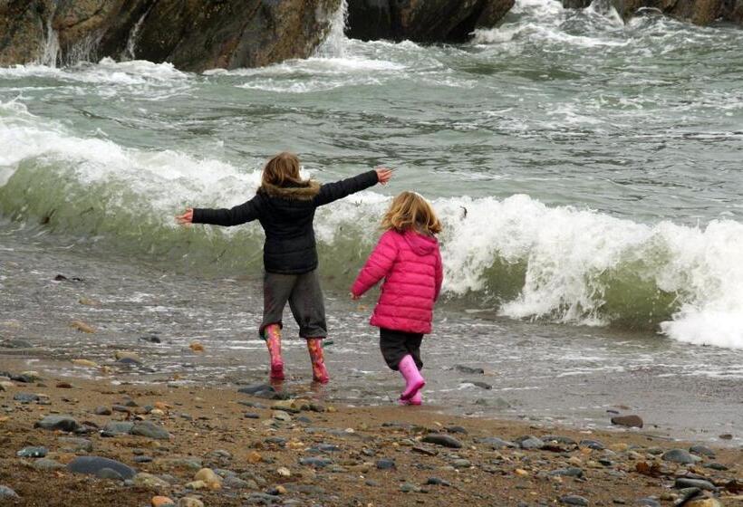 تختخواب و صبحانه Beach Haven Accommodations