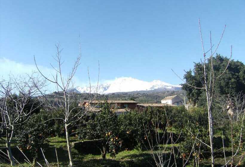 Bed and Breakfast Baglio Delle Rose