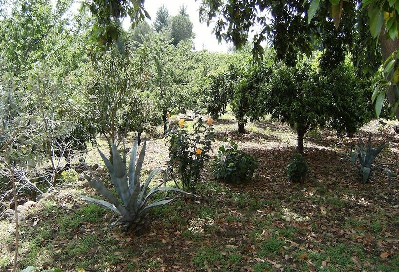 Bed and Breakfast Baglio Delle Rose