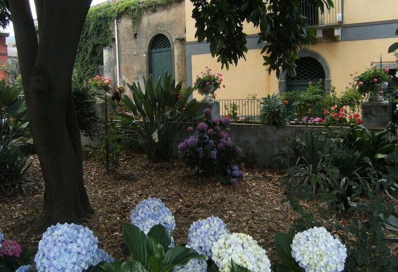 Bed and Breakfast Baglio Delle Rose
