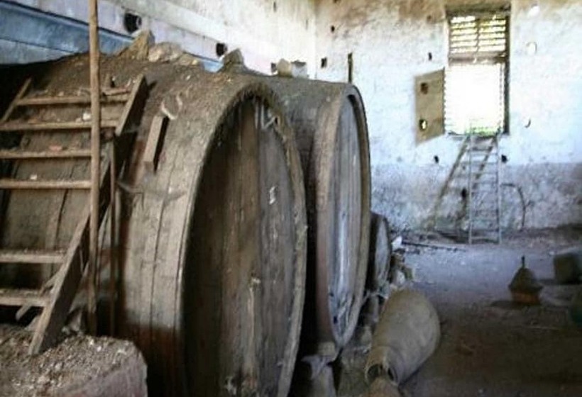 Bed and Breakfast Baglio Delle Rose