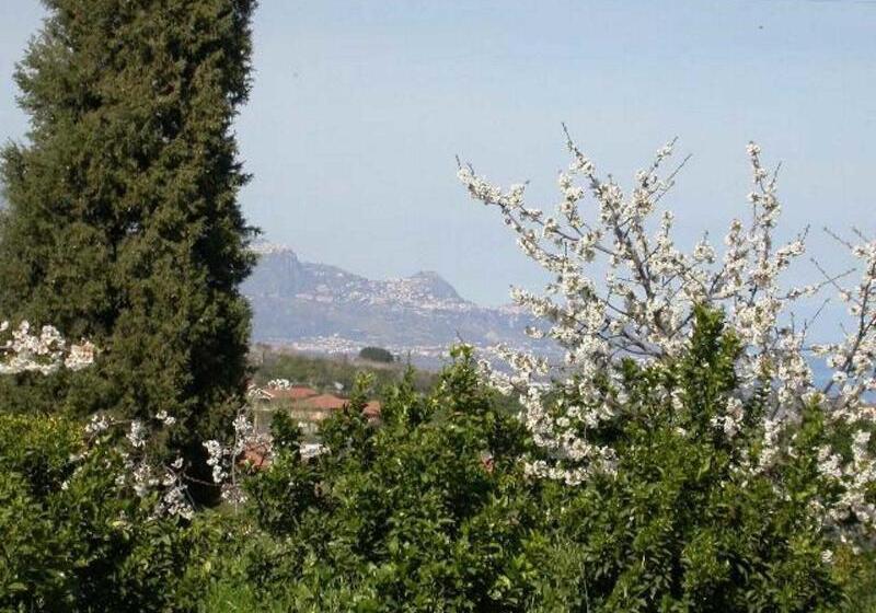 Bed and Breakfast Baglio Delle Rose