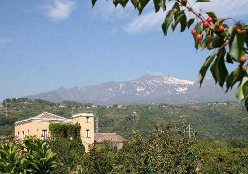 Bed and Breakfast Baglio Delle Rose