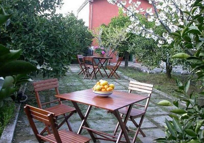 Bed and Breakfast Baglio Delle Rose