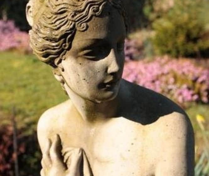 مبيت وإفطار Belvedere Lodge